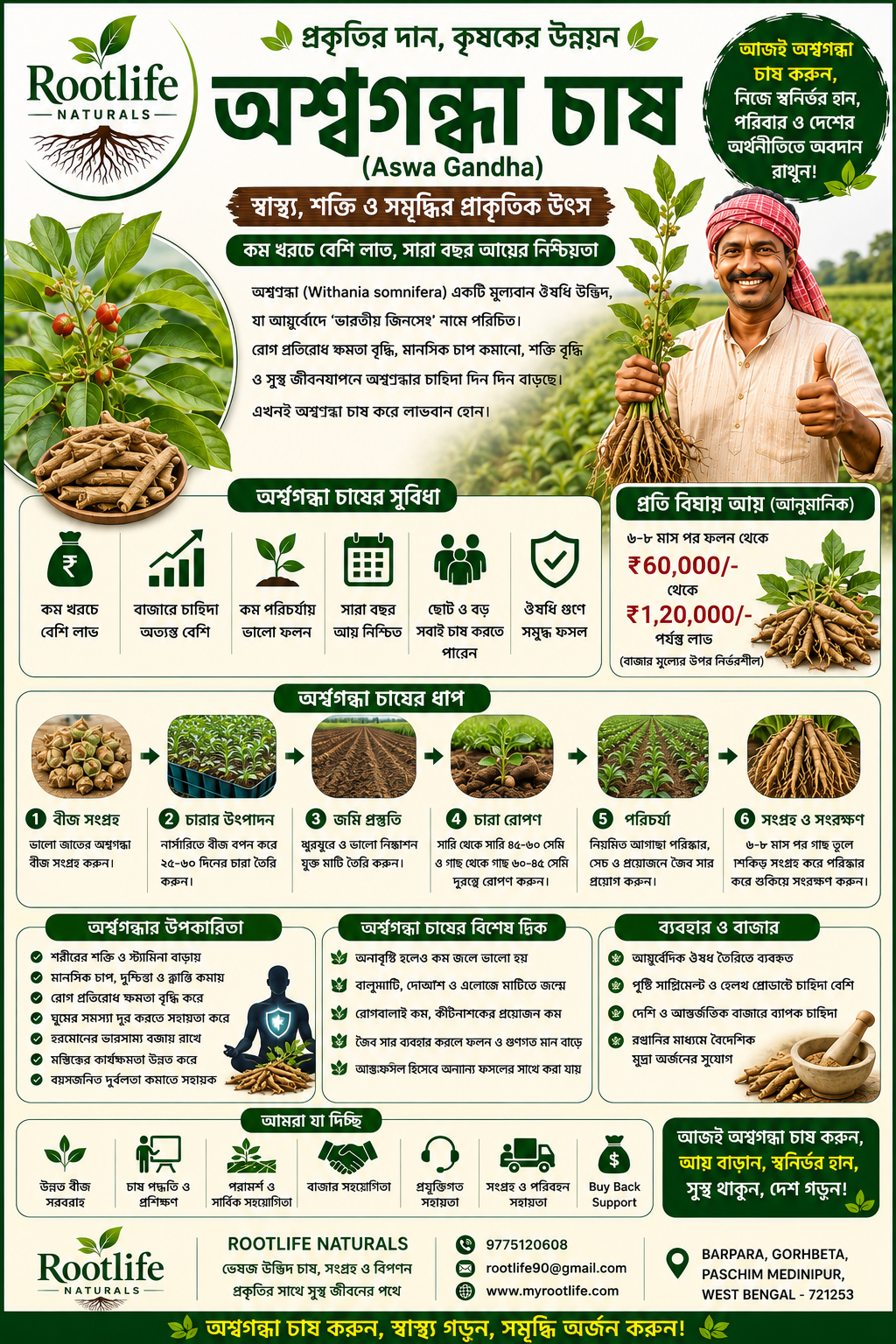 অশ্বগন্ধা (উইথানিয়া সোমনিফেরা)